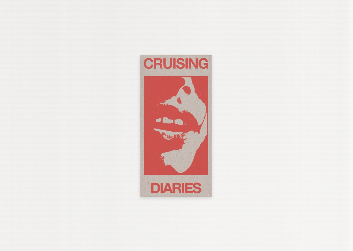 Cruising Diaries