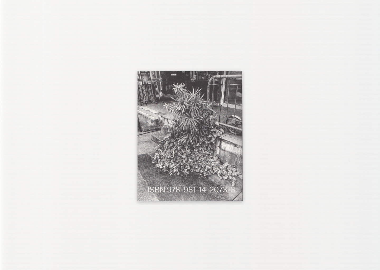 Forming Cityscapes #8: Plants