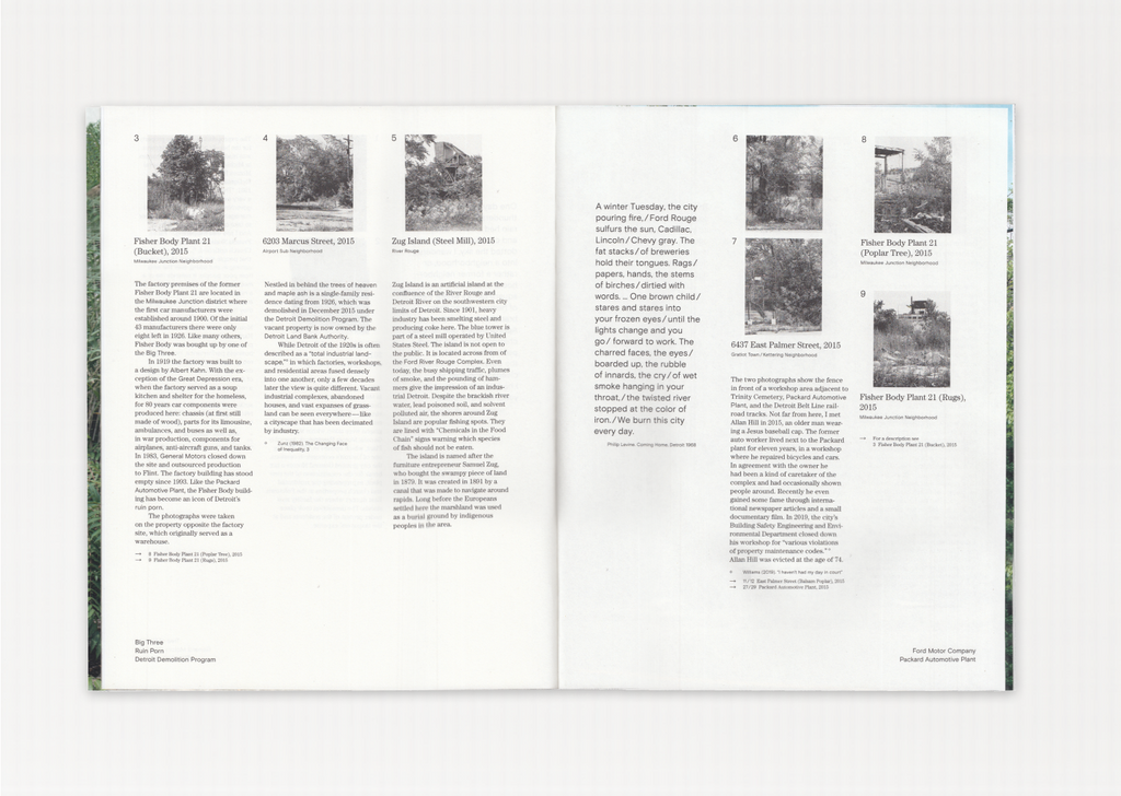 Detroit: Field Notes From a Wild City