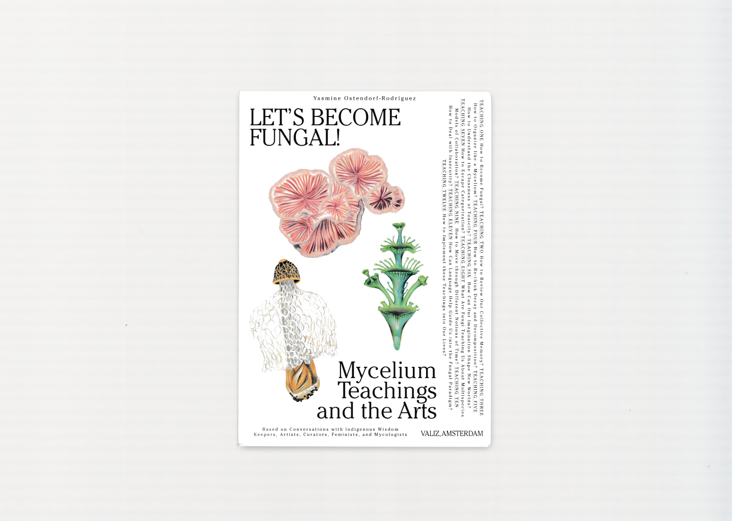 Let's Become Fungal! Mycelium Teachings and the Arts
