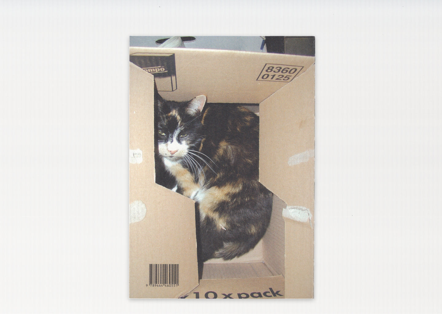 Animal Books for Jaap, Zeno, Anna, Julian & Luca