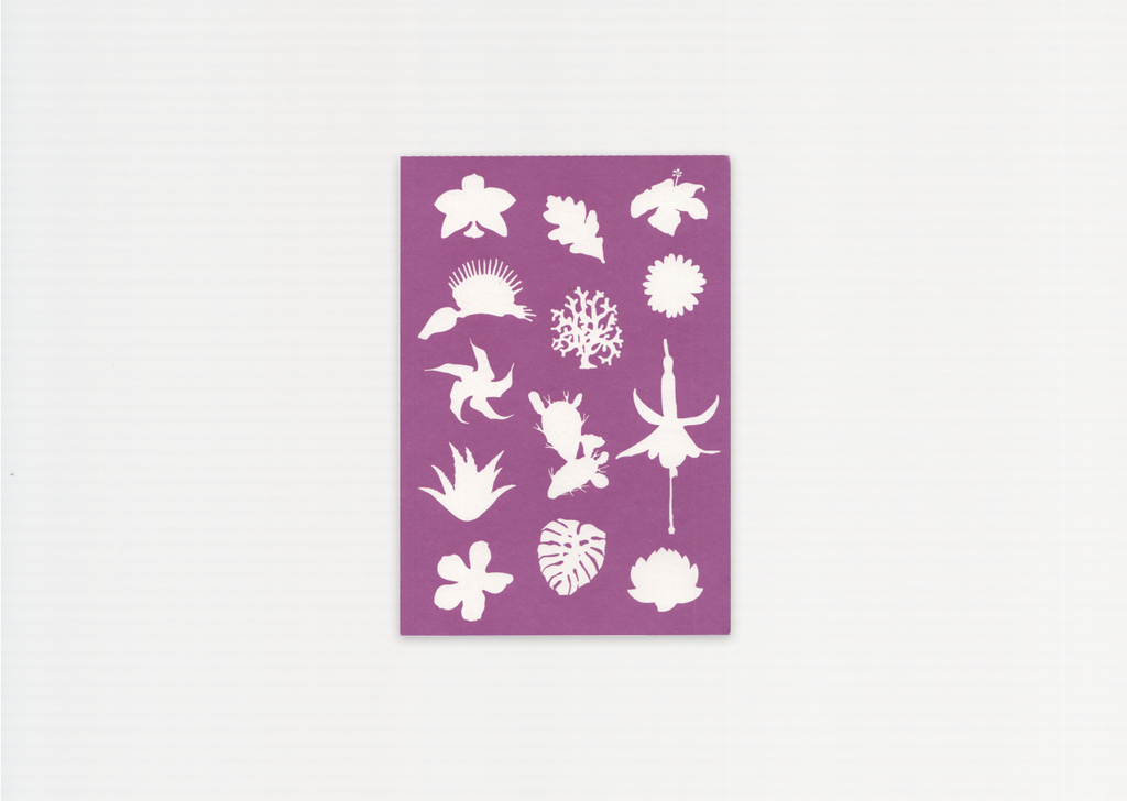 Making Kin: Plants