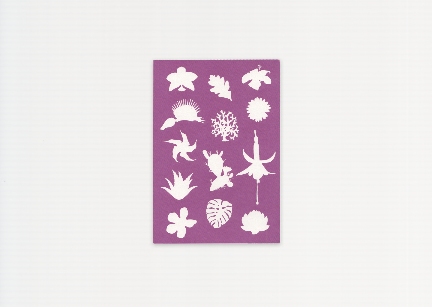 Making Kin: Plants