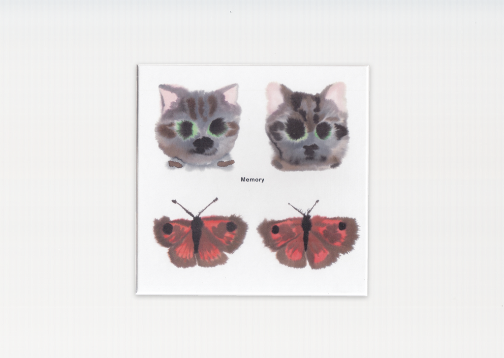 Rop van Mierlo: Memory Game