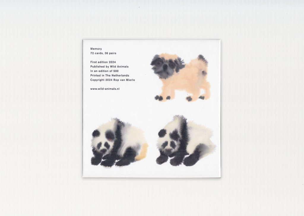 Rop van Mierlo: Memory Game