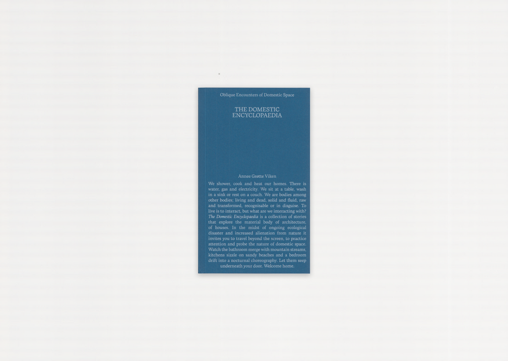 Domestic Encyclopedia: Oblique Encounters of Domestic Space