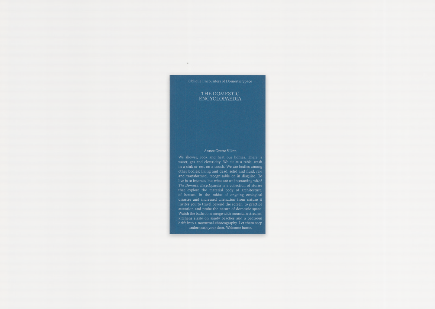 Domestic Encyclopedia: Oblique Encounters of Domestic Space