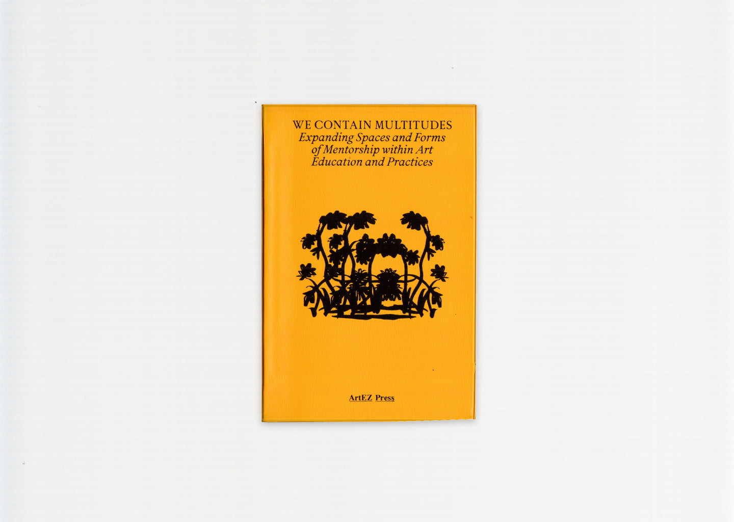 We Contain Multitudes: Expanding spaces and forms of mentorship within art education and practices